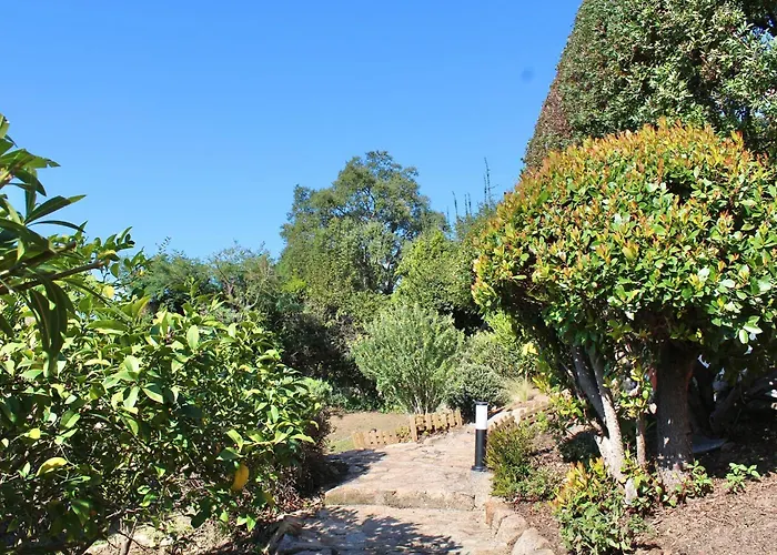 Casetta Amandina Di וילה Pinarellu